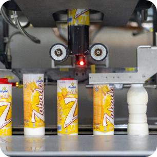 Egyptian Food Industries (Egyfood)