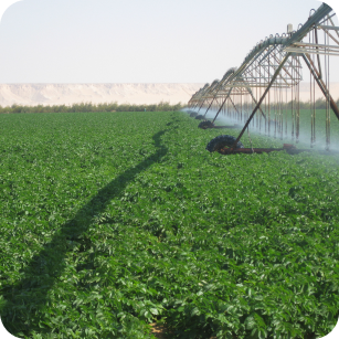  Enmaa for Agriculture Development & Livestock