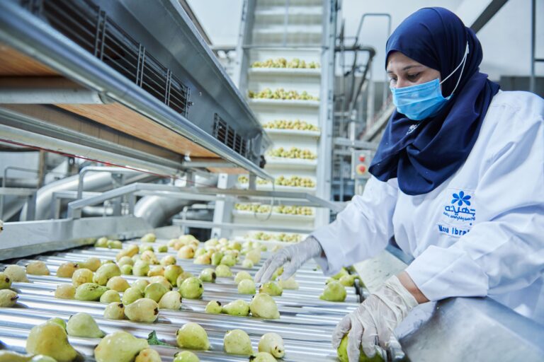 El Marwa Food Industries